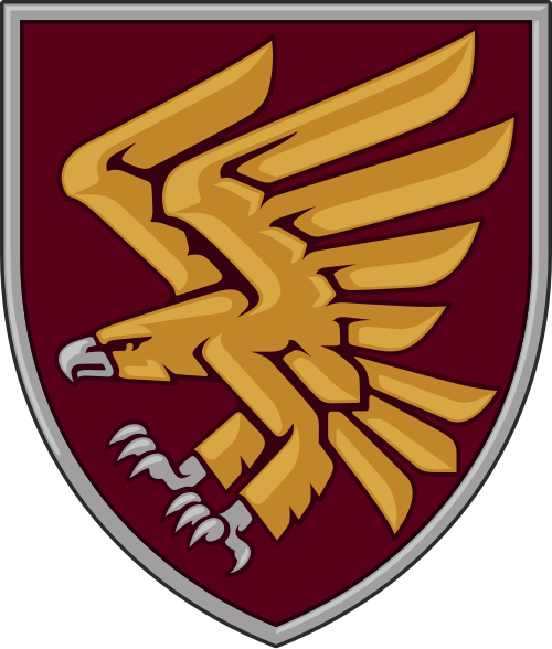 95th Air Assault Brigade